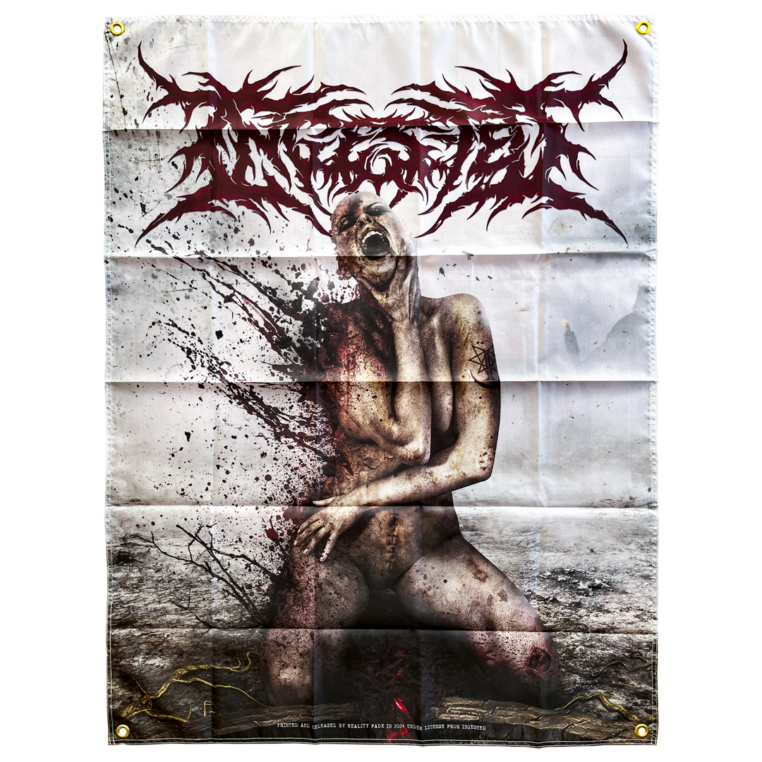 Ingested 'The Surreption' Flag